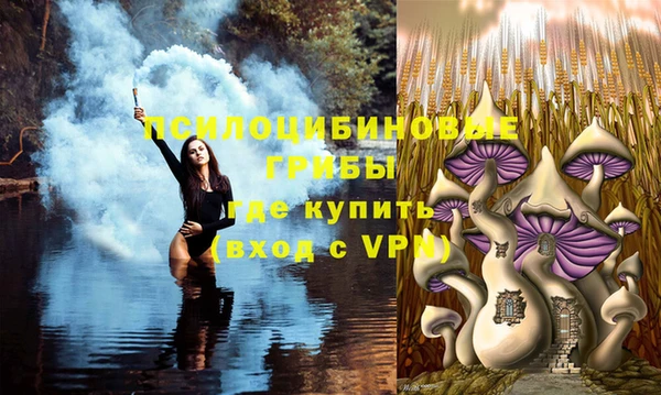 герыч Богородицк
