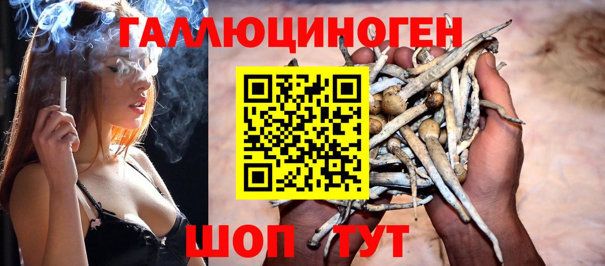 Галлюциногенные грибы Cubensis  Вход с VPN  Галлюциногенные грибы мухоморы  Бугуруслан 