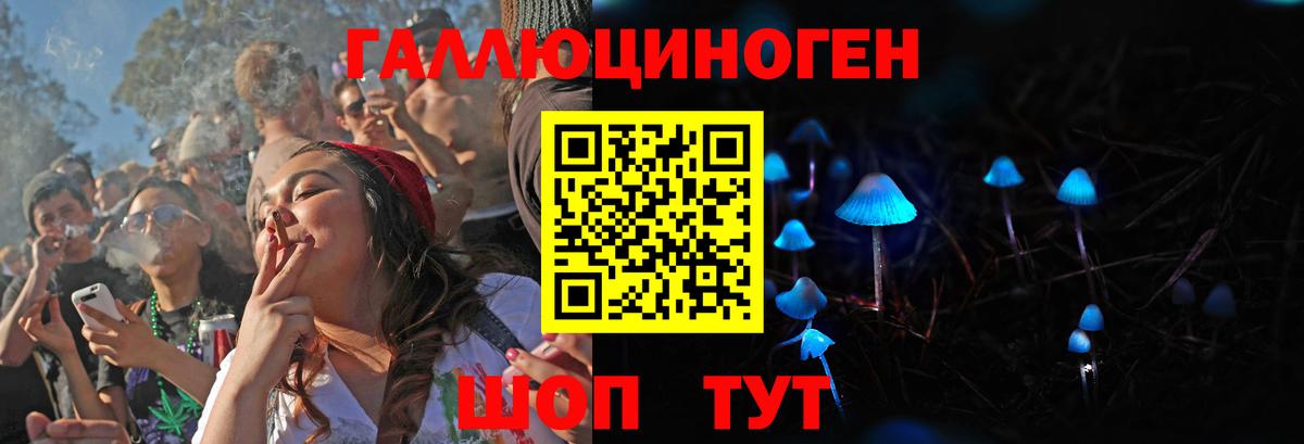 Галлюциногенные грибы Psilocybine cubensis  Вход с VPN  Бугуруслан 