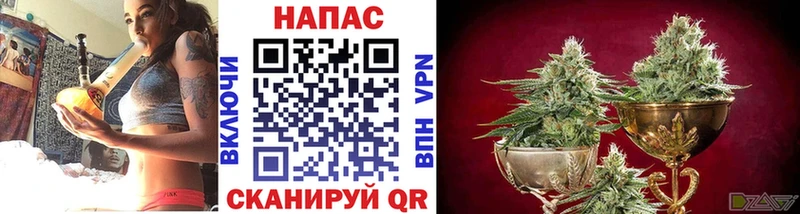 где найти наркотики  Бугуруслан  Бошки марихуана планчик 